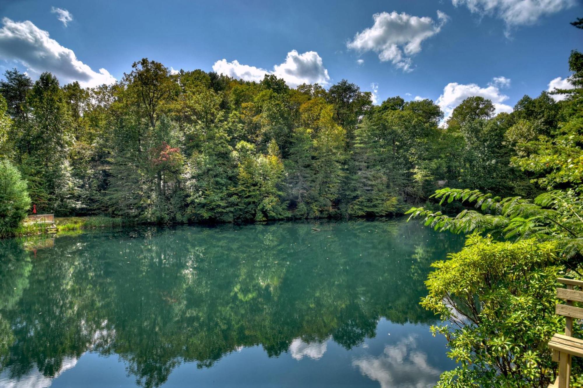 Waywish Waterfront Cabin In Blue Ridge Mountains Exteriör bild