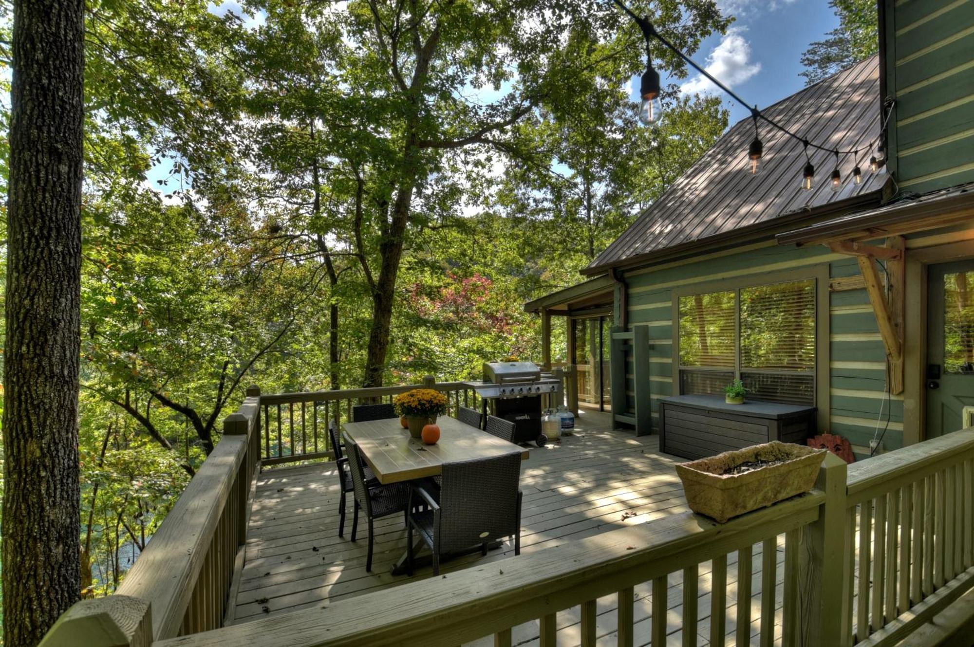 Waywish Waterfront Cabin In Blue Ridge Mountains Exteriör bild