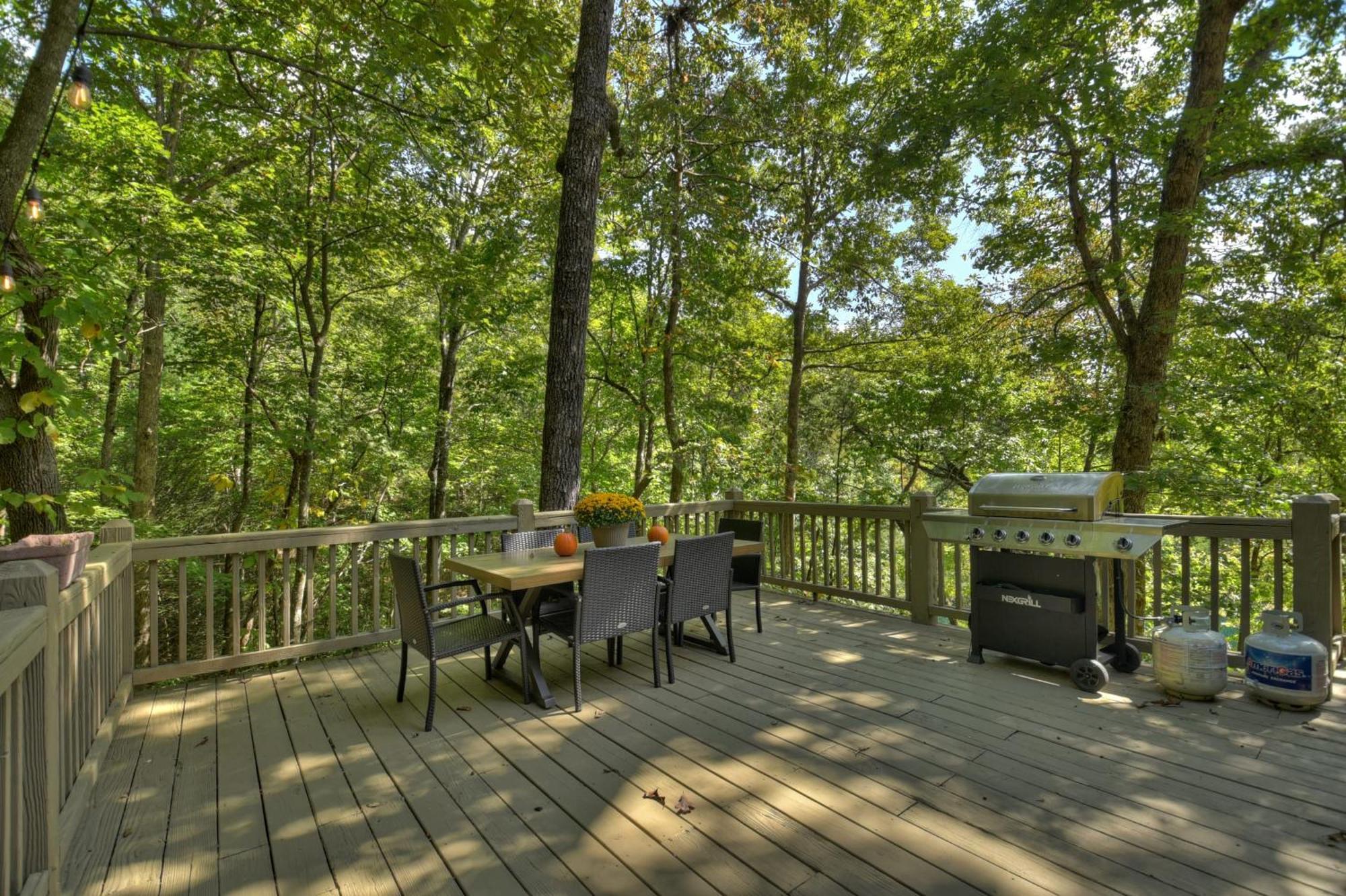 Waywish Waterfront Cabin In Blue Ridge Mountains Exteriör bild